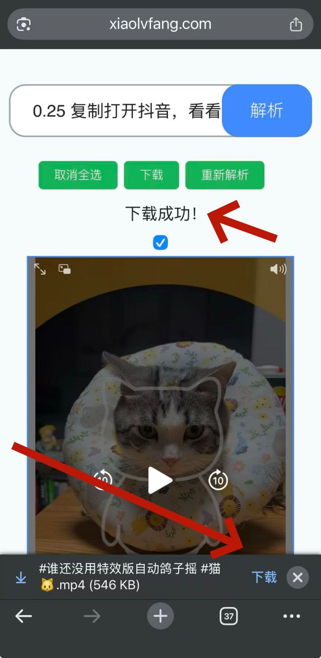 效率坊解析工具苹果（ios）手机下载成功的视频保存在哪？