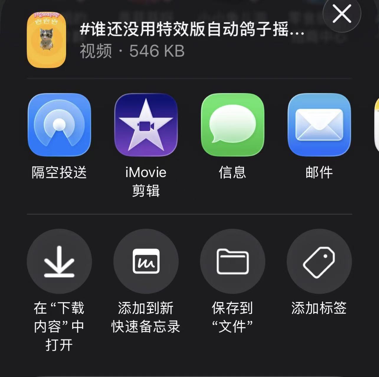 效率坊解析工具苹果（ios）手机下载成功的视频保存在哪？