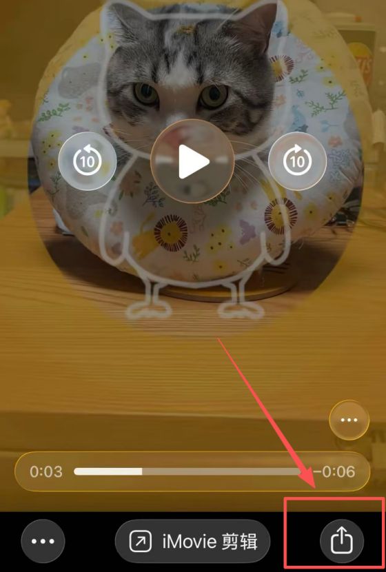 效率坊解析工具苹果（ios）手机下载成功的视频保存在哪？