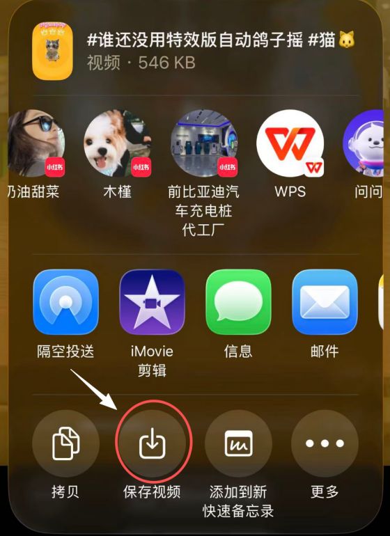 效率坊解析工具苹果（ios）手机下载成功的视频保存在哪？